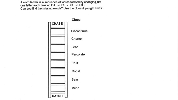 Sweet things word ladder answer key