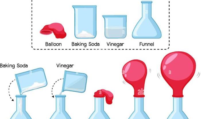 Yeast balloon experiment worksheet answers