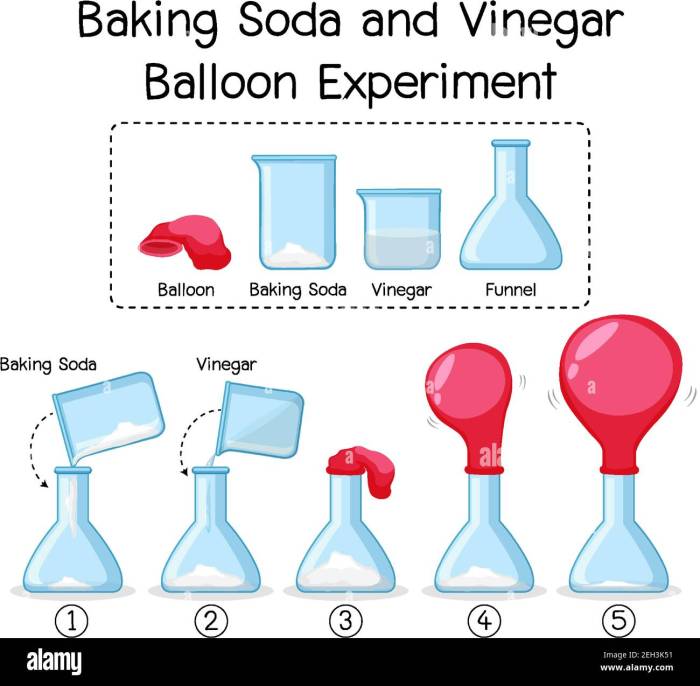 Yeast balloon experiment worksheet answers