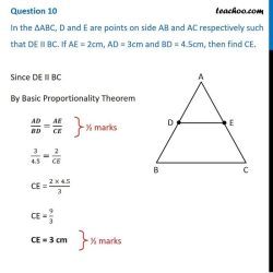 Variant bisector