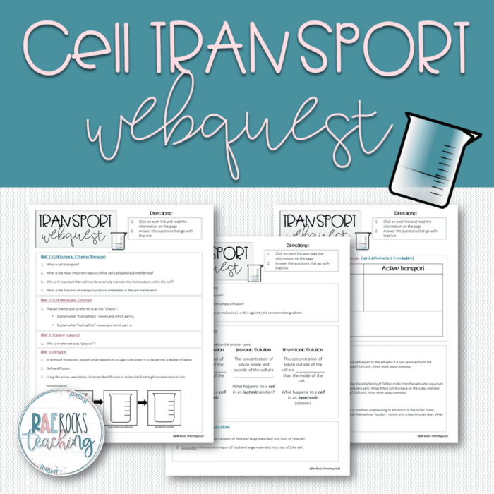 Cell membrane and transport webquest answer key