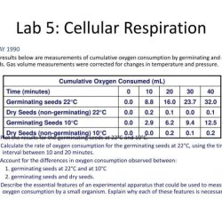 Cellular respiration in germinating peas lab answers